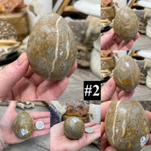 Bild in Galerie-Viewer laden, Onyx 2.5" Eggs from Mexico