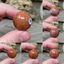 Bild in Galerie-Viewer laden, Carnelian Snakeskin 22mm Spheres