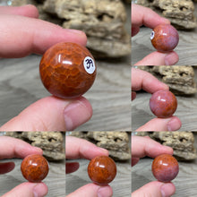 Bild in Galerie-Viewer laden, Carnelian Snakeskin 22mm Spheres