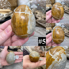 Bild in Galerie-Viewer laden, Onyx 2.5" Eggs from Mexico