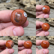 Bild in Galerie-Viewer laden, Carnelian Snakeskin 22mm Spheres