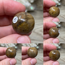 Bild in Galerie-Viewer laden, Petrified Wood 22mm Spheres