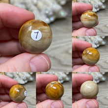 Bild in Galerie-Viewer laden, Petrified Wood 22mm Spheres