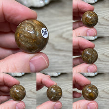 Bild in Galerie-Viewer laden, Petrified Wood 22mm Spheres