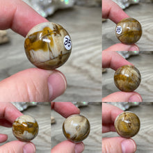 Bild in Galerie-Viewer laden, Petrified Wood 22mm Spheres