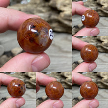 Bild in Galerie-Viewer laden, Carnelian Snakeskin 22mm Spheres