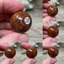 Bild in Galerie-Viewer laden, Petrified Wood 22mm Spheres