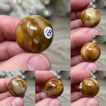 Bild in Galerie-Viewer laden, Petrified Wood 22mm Spheres