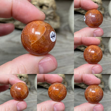 Bild in Galerie-Viewer laden, Carnelian Snakeskin 22mm Spheres