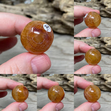Bild in Galerie-Viewer laden, Carnelian Snakeskin 22mm Spheres