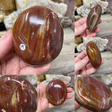 Load image into Gallery viewer, Petrified Wood Palm Stones