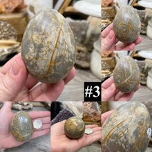 Bild in Galerie-Viewer laden, Onyx 2.5" Eggs from Mexico