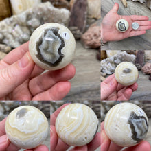 Bild in Galerie-Viewer laden, Zebra Onyx 1.5" Spheres from Mexico