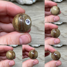 Bild in Galerie-Viewer laden, Petrified Wood 22mm Spheres