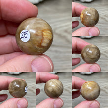 Bild in Galerie-Viewer laden, Petrified Wood 22mm Spheres