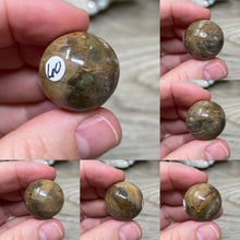 Bild in Galerie-Viewer laden, Petrified Wood 22mm Spheres