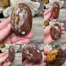 Load image into Gallery viewer, Petrified Wood Palm Stones