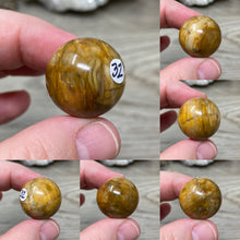 Bild in Galerie-Viewer laden, Petrified Wood 22mm Spheres