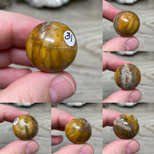 Bild in Galerie-Viewer laden, Petrified Wood 22mm Spheres