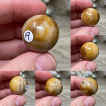 Bild in Galerie-Viewer laden, Petrified Wood 22mm Spheres