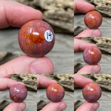 Bild in Galerie-Viewer laden, Carnelian Snakeskin 22mm Spheres