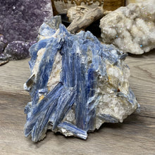 将图像加载到图库查看器中,Blue Kyanite Cluster #02 with Garnet