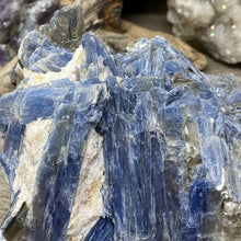 将图像加载到图库查看器中,Blue Kyanite Cluster #02 with Garnet