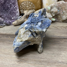 将图像加载到图库查看器中,Blue Kyanite Cluster #02 with Garnet