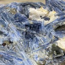 将图像加载到图库查看器中,Blue Kyanite Cluster #02 with Garnet