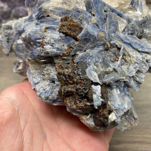将图像加载到图库查看器中,Blue Kyanite Cluster #02 with Garnet