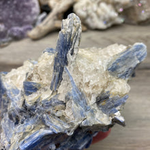 将图像加载到图库查看器中,Blue Kyanite Cluster #02 with Garnet
