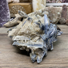 将图像加载到图库查看器中,Blue Kyanite Cluster #02 with Garnet