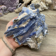 将图像加载到图库查看器中,Blue Kyanite Cluster #02 with Garnet