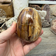 Bild in Galerie-Viewer laden, Petrified Wood Large Egg