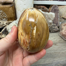 Bild in Galerie-Viewer laden, Petrified Wood Large Egg