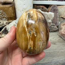 Bild in Galerie-Viewer laden, Petrified Wood Large Egg