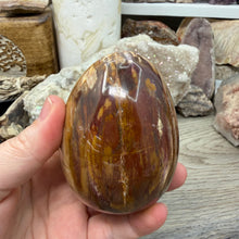 Bild in Galerie-Viewer laden, Petrified Wood Large Egg