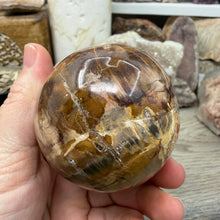 Bild in Galerie-Viewer laden, Petrified Wood Large Egg