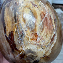 Bild in Galerie-Viewer laden, Petrified Wood Large Egg