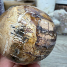 Bild in Galerie-Viewer laden, Petrified Wood Large Egg