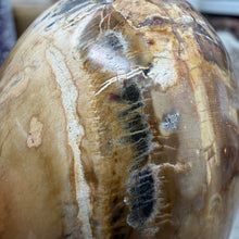 Bild in Galerie-Viewer laden, Petrified Wood Large Egg