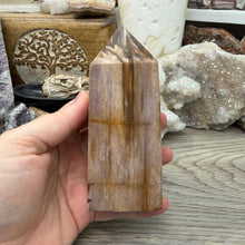 Carica l'immagine nel visualizzatore di Gallery, Petrified Wood Tower