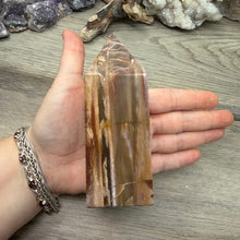 Carica l'immagine nel visualizzatore di Gallery, Petrified Wood Tower