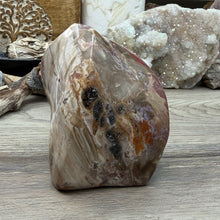 Bild in Galerie-Viewer laden, Petrified Wood Flame