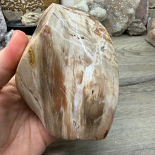 Bild in Galerie-Viewer laden, Petrified Wood Flame