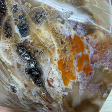 Bild in Galerie-Viewer laden, Petrified Wood Flame
