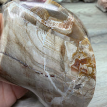 Bild in Galerie-Viewer laden, Petrified Wood Flame