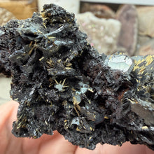 Bild in Galerie-Viewer laden, Hematite with Exposed Golden Rutile #01