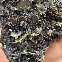 Bild in Galerie-Viewer laden, Hematite with Exposed Golden Rutile #04