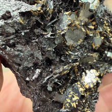 Bild in Galerie-Viewer laden, Hematite with Exposed Golden Rutile #04